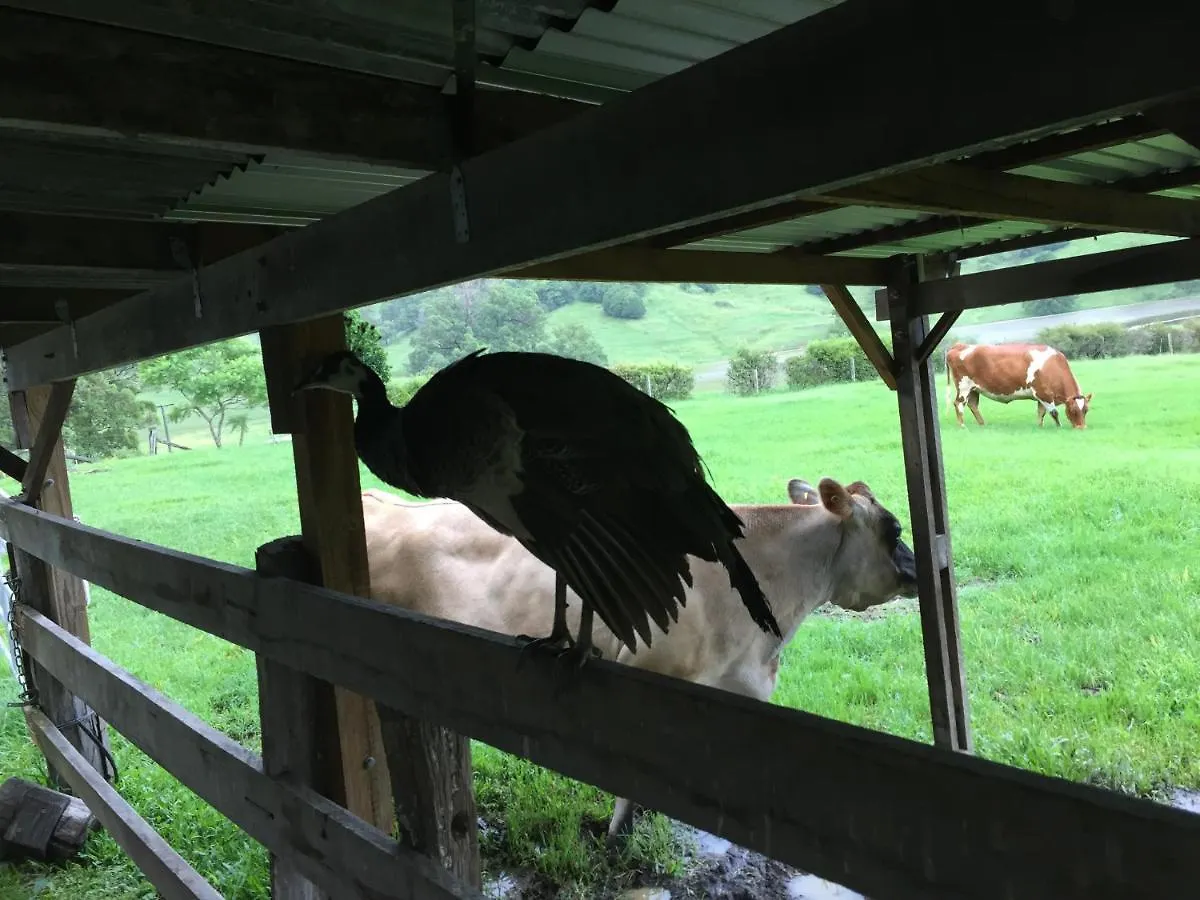 Cedarbrae Country Stay Gympie 0*,  Australia