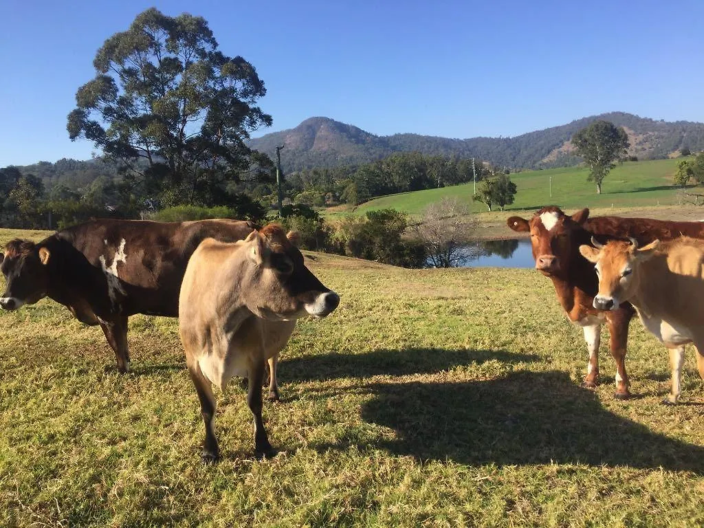 Cedarbrae Country Stay Gympie