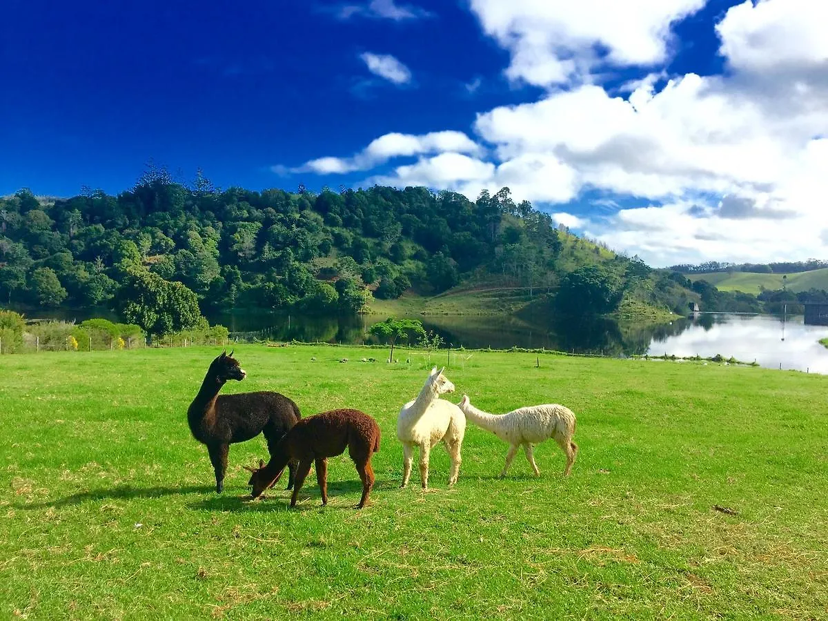 Cedarbrae Country Stay Gympie 0*,  Australia